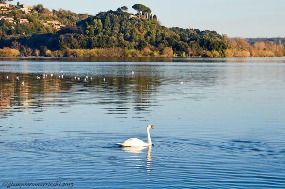 Pepe Apartment -Lago Di Bracciano Тревіньяно-Романо Екстер'єр фото
